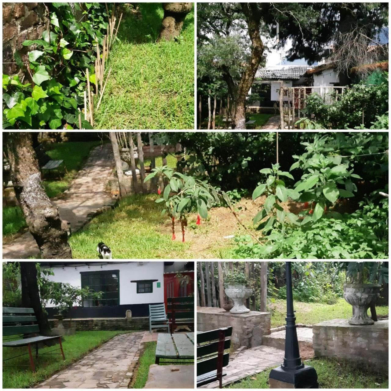 Cedron Hostel - Bogota — Fotky 3